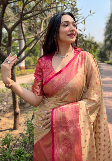 Chickoo Kanchipuram Tissue Silk Traditional Zari Woven Saree