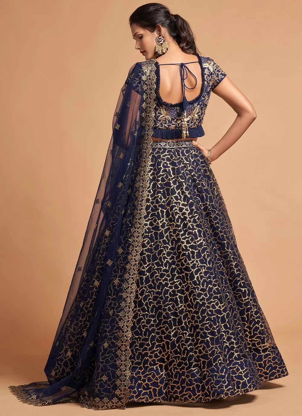 Navy Blue Zari And Embroidered A Line Lehenga 