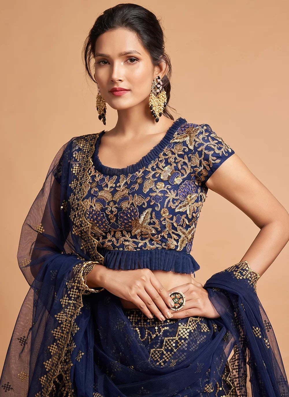 Navy Blue Zari And Embroidered A Line Lehenga 