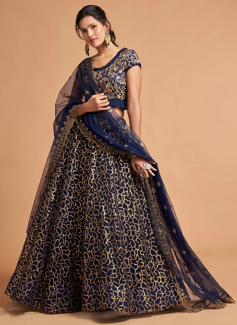 Navy Blue Zari And Embroidered A Line Lehenga 